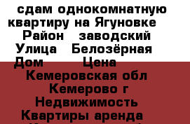сдам однокомнатную квартиру на Ягуновке,  › Район ­ заводский › Улица ­ Белозёрная  › Дом ­ 23 › Цена ­ 10 000 - Кемеровская обл., Кемерово г. Недвижимость » Квартиры аренда   . Кемеровская обл.,Кемерово г.